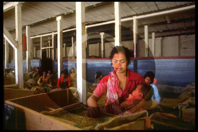 © International Coffee Organization