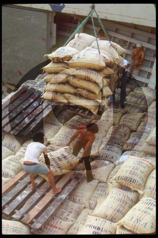 © International Coffee Organization