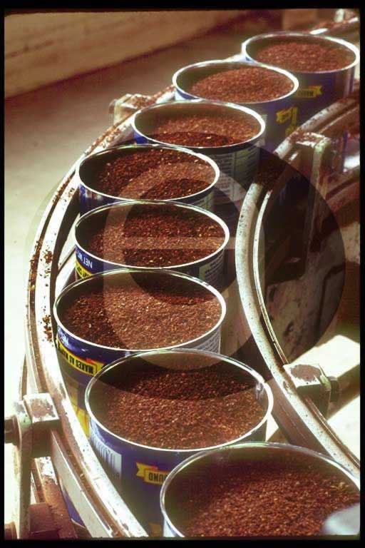 © International Coffee Organization